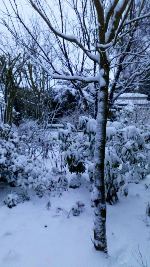 Mountain Ash Bed & Breakfast Horncastle  Eksteriør bilde