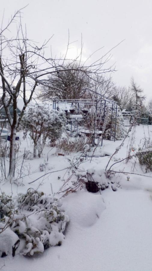 Mountain Ash Bed & Breakfast Horncastle  Eksteriør bilde